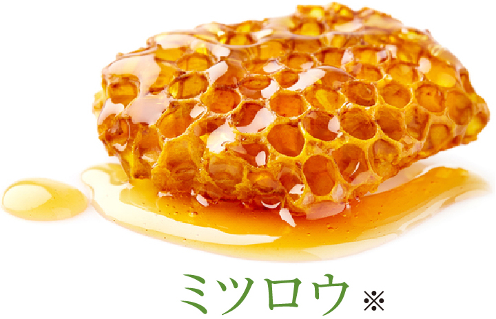 ミツロウ※