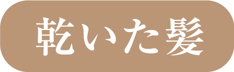 乾いた髪